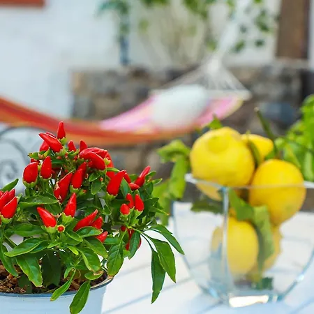 Trani - Close To The & Beautiful Garden * 이스키아