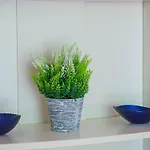 דירה Trani - Close To The & Beautiful Garden *