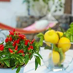 Trani - Close To The & Beautiful Garden * 伊斯基亚