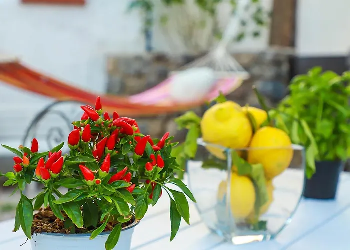 Trani - Close To The & Beautiful Garden * Ischia
